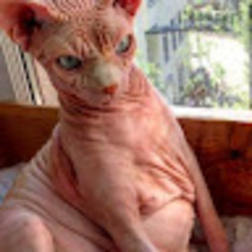 Meet your Posher, Barbara